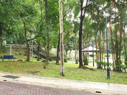 Blk 543 Jelapang Road (Bukit Panjang), HDB Executive #205082411